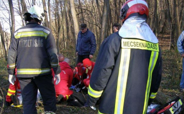Fa dőlt egy emberre Ófalun