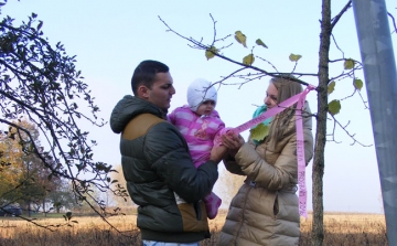 Idén negyvennégy kisgyermeknek ültettek fát Bonyhádon