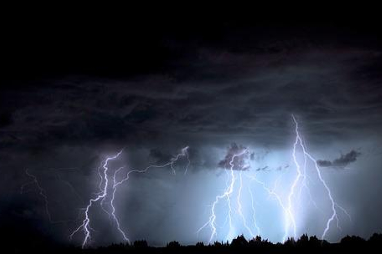 Tetőket bontott meg, fákat döntött ki a vihar Vas megyében