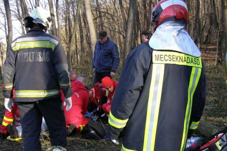 Fa dőlt egy emberre Ófalun