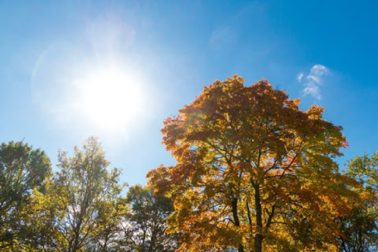 Melegszik az idő a következő napokban
