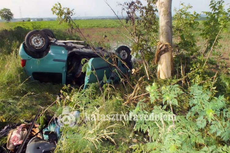 Életet mentett a buszsofőr