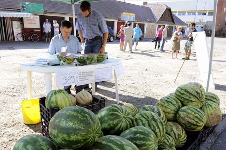 Kiemelten ellenőrzik a hatóságok a szezonális zöldségek és gyümölcsök árusítását