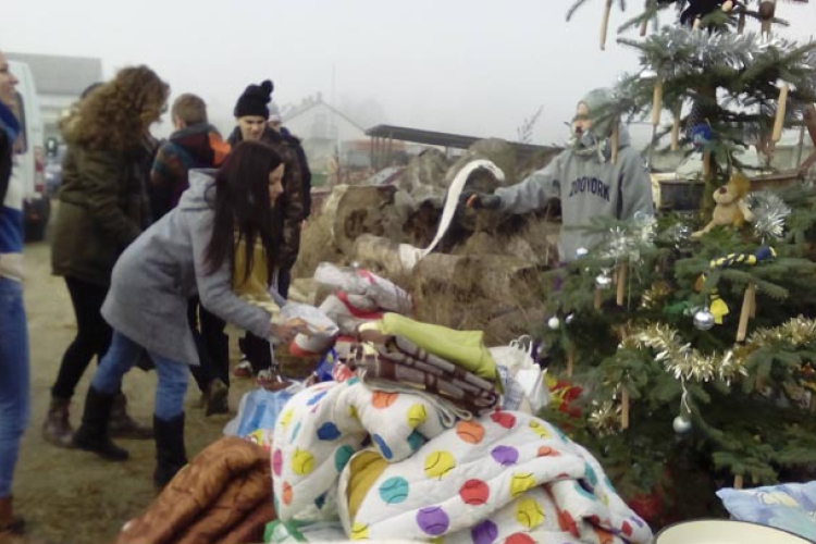 Véletlenül alakult az egyesület, mára évi 200 ebet adnak örökbe