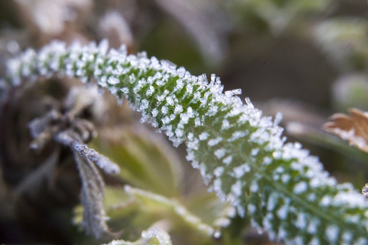 Enyhít szorításán a fagy és többfelé várható csapadék a hétvégén